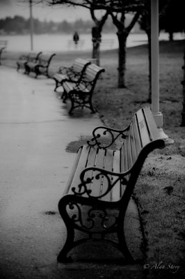 Empty Bench.jpg