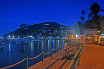Catalina waterfront