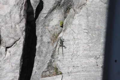 d00983.JPG