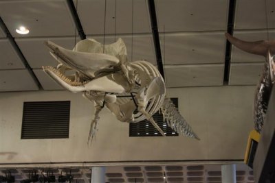 d01150.JPG