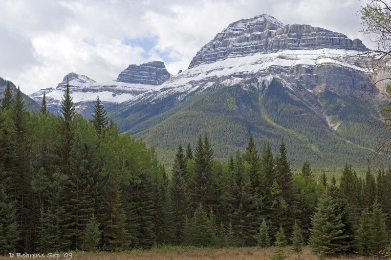 Bow Valley Parkway