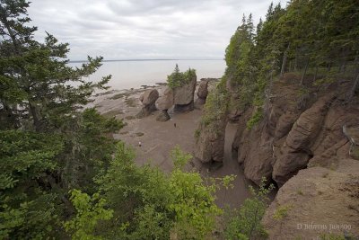 Bay of Fundy Hopewell Rocks and Fundy Nat’l Park - New Brunswick