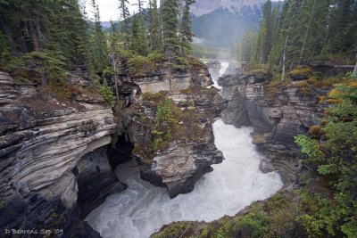 Below Athabasca falls.jpg