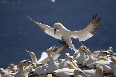 Crowded landing.jpg