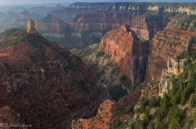 North Rim from Cape Royal