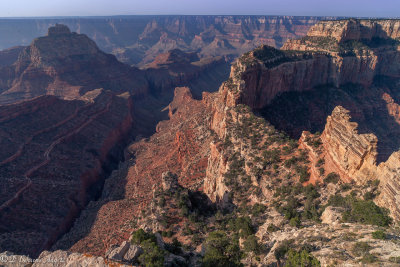 North Rim from Cape Royal