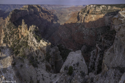 North Rim from Cape Royal