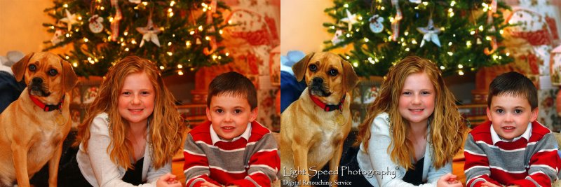 Holiday Card Comparison