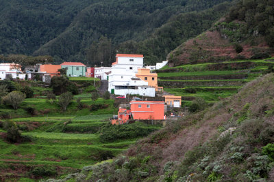 Orotava Valley holiday, Tenerife, December 2008