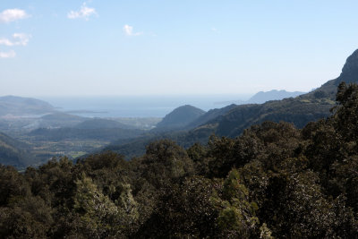 View to Pollenca