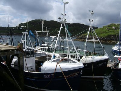 RT Poll Scrot trawlers