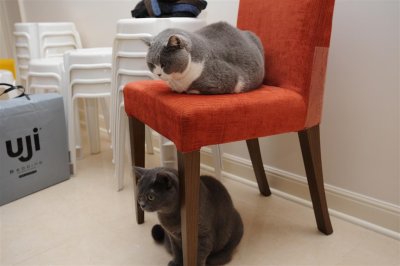 We are waiting for our turn, get in line.