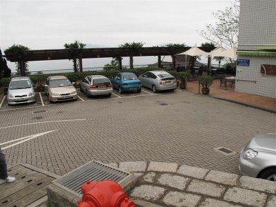 IMG_4784 Medium.JPG