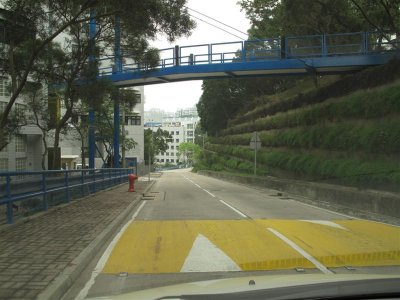 IMG_4794 Medium.JPG