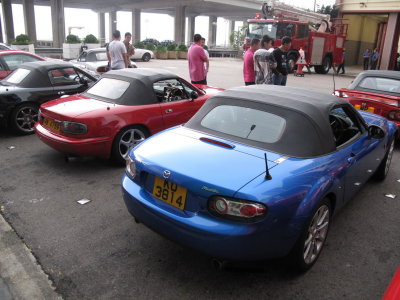 IMG_7395_resize.JPG