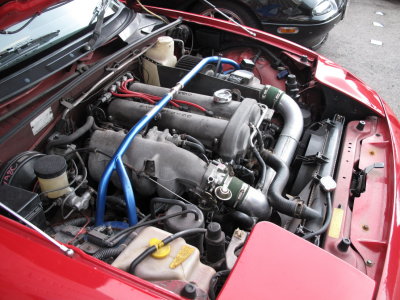IMG_7411_resize.JPG