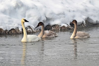 g1/63/226563/3/132506568.BjNWqto6.jpg
