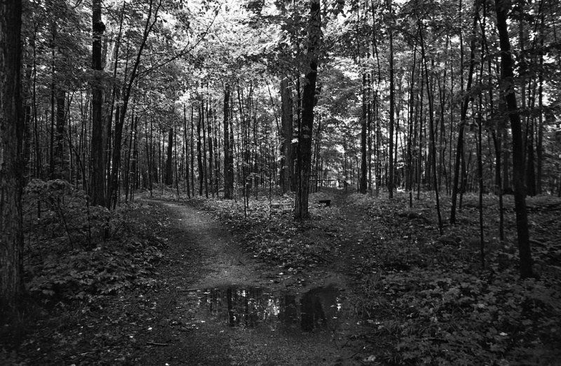 Paths