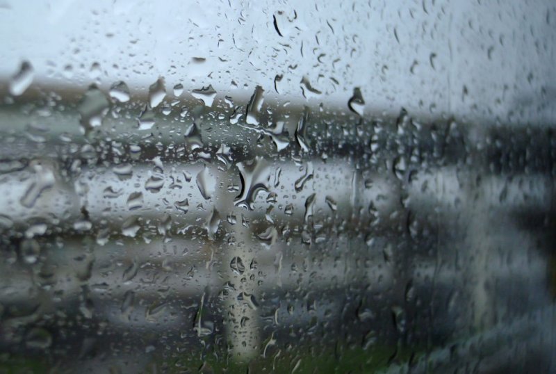 Bus Window