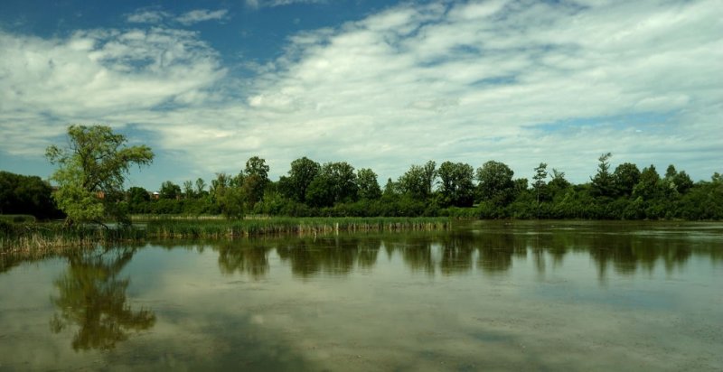 Wetland