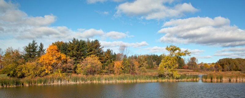 McKenzie Marsh