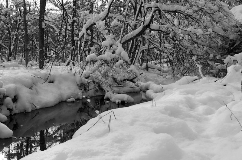 Stream