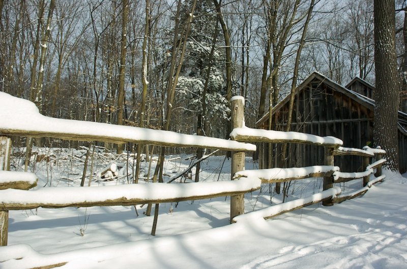 Winter Morning