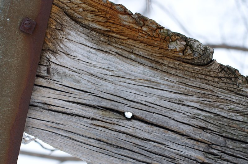 Iron & Wood