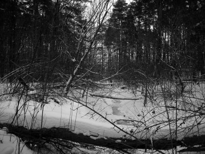 Frozen Stream