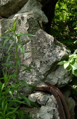 Mill Wall