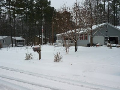 snowy front yard.JPG