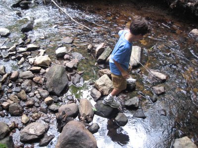 Walking in the creek