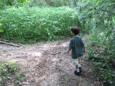 Cooper walking in the woods at Brett's