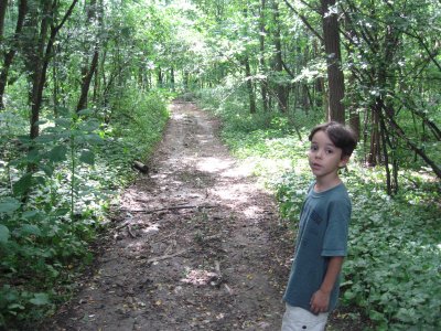 Cooper in the woods