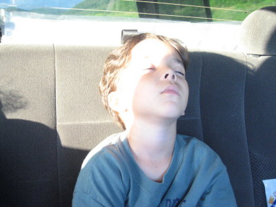 Cooper napping in the car