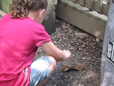 Leila trying to pet a chipmunk