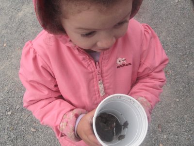 Leila caught some frogs