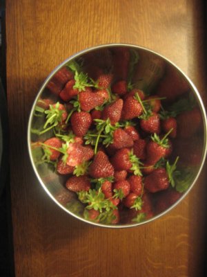 Kenya's homegrown strawberries