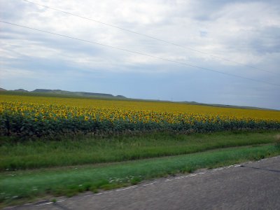sturgis2010045.jpg