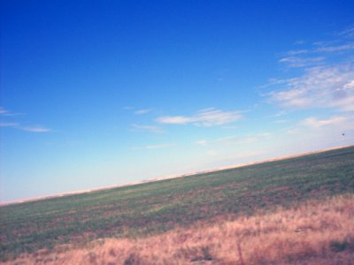 sturgis2010066.jpg