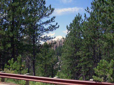 sturgis2010111.jpg