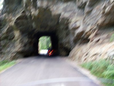 sturgis2010116.jpg
