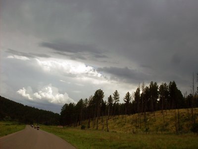 sturgis2010127.jpg