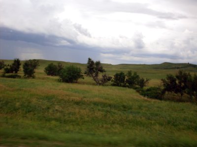 sturgis2010133.jpg