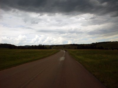 sturgis2010136.jpg
