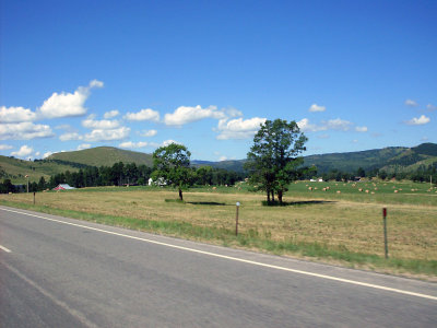 sturgis2010203.jpg