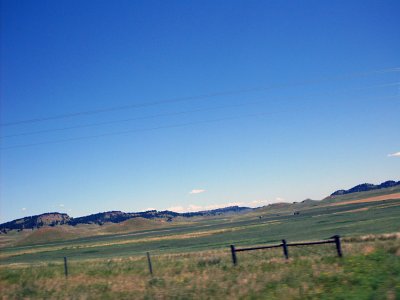 sturgis2010235.jpg