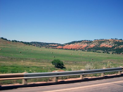sturgis2010248.jpg