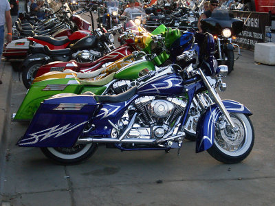 sturgis2010377.jpg