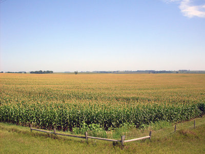 sturgis2010427.jpg